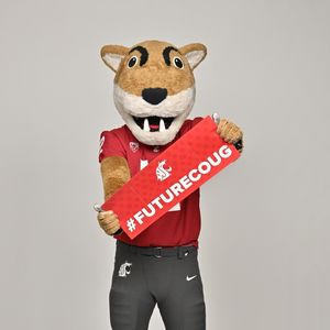 Image post by @wsupullman on Instagram