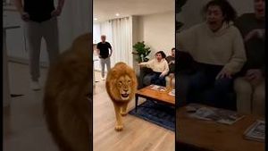 Video post by @aliaboutine on YouTube