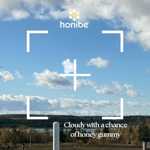 Image post by @honibe on Instagram