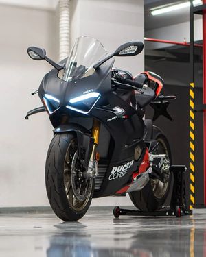 Image post by @panigalers on Instagram