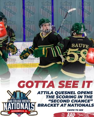 Image post by @aau_collegehockey on Instagram