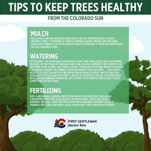 Image post by @firstgentmarlonreis on Instagram