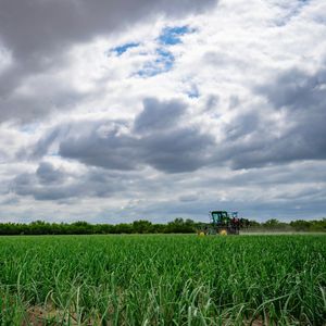 Image post by @txextension on Instagram