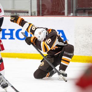 Image post by @froioflashphotography on Instagram