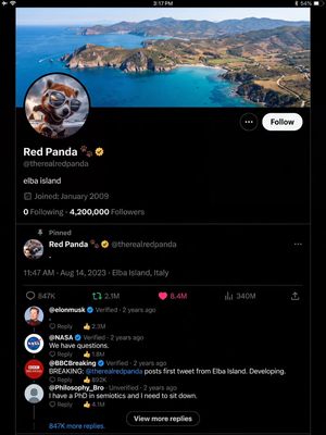 Image post by @redpandavx on Instagram