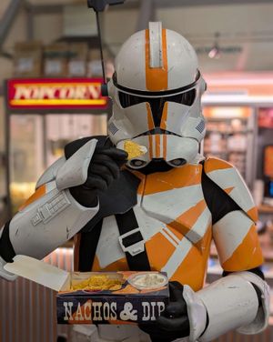 Image post by @official501st on Instagram