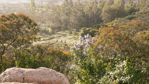 Image post by @AvondaleTravel on Facebook