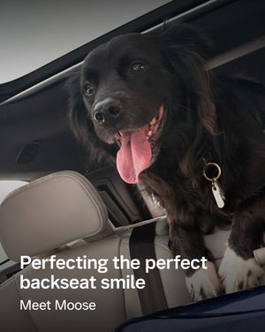 Image post by @volvocarusa on Instagram