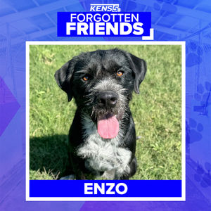 Image post by @kens5 on Instagram