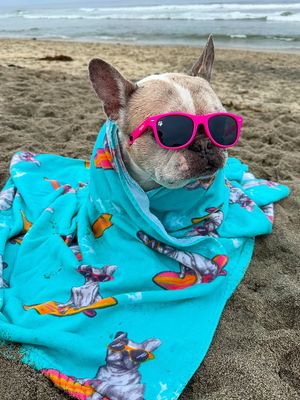 Image post by @pupcorntreats on Instagram