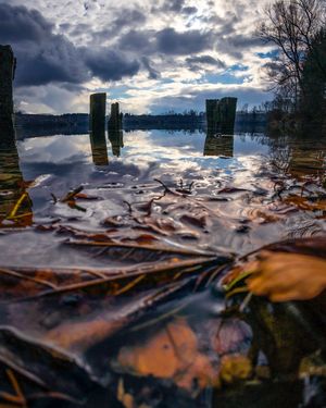 Image post by @cristan.nature.photography on Instagram