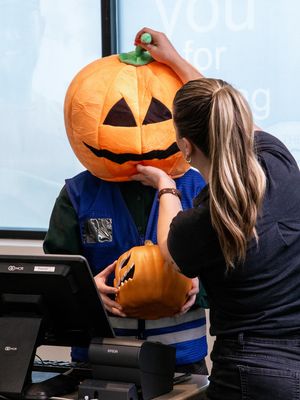 Image post by @littlefishproductions on Instagram