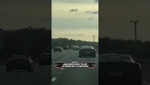 Video post by @speedonfox on YouTube