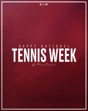 Image post by @fsumtennis on Instagram