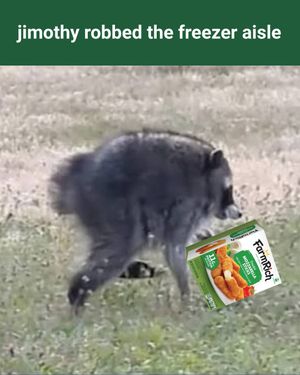 Image post by @farmrichsnacks on Instagram