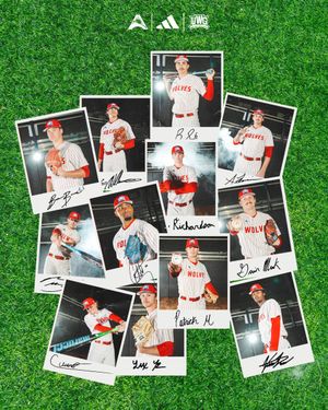 Image post by @UWGBaseball on Twitter