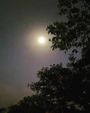 Image post by @vishalghosh on Instagram