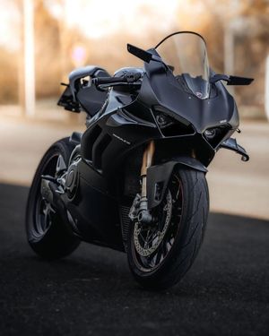 Image post by @panigalers on Instagram