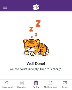 Image post by @clemsonuniversity on Instagram