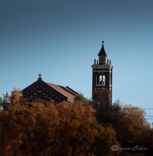 Image post by @bowronstudios on Instagram