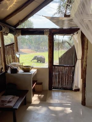 Image post by @chiawasafaris on Instagram