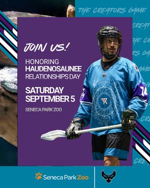 Image post by @rocknighthawks on Instagram
