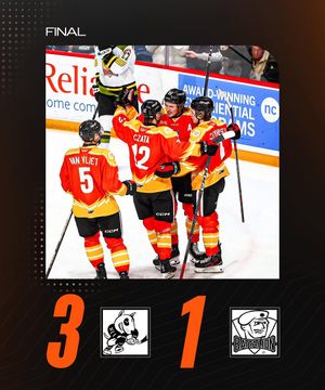 Image post by @ohlicedogs on Instagram