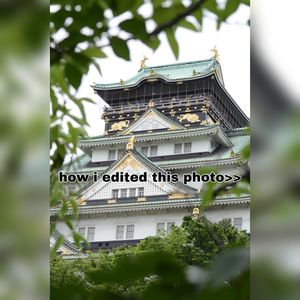 Image post by @josephinethebaron on Instagram