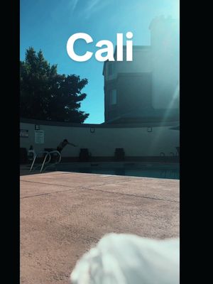 Video post by @sailing_with_phoenix on TikTok