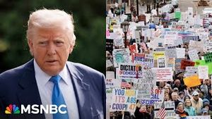 Video post by @msnbc on YouTube