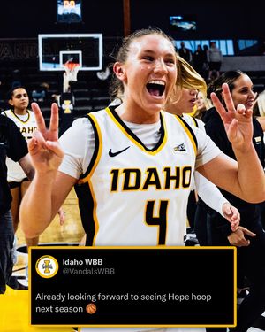Image post by @vandalswbb on Instagram