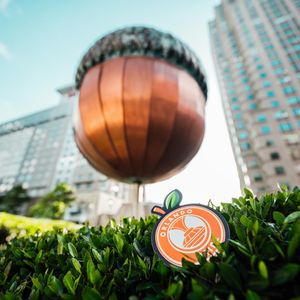 Image post by @jreper on Instagram