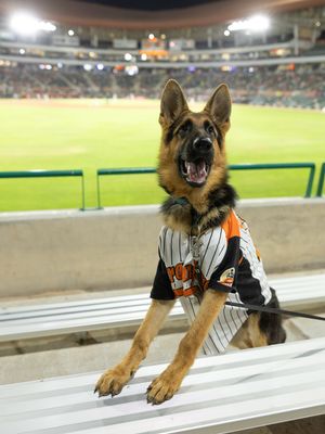 Image post by @clubnaranjeros on Instagram