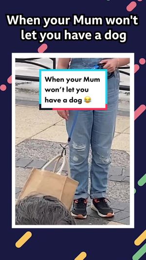 Video post by @cbbc on TikTok