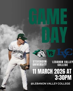 Image post by @stevensonbsb on Instagram