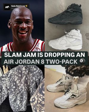Image post by @soleretriever on Instagram