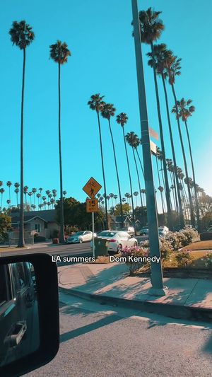 Video post by @itsanlathing on TikTok