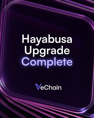 Image post by @vechainofficial_ on Instagram