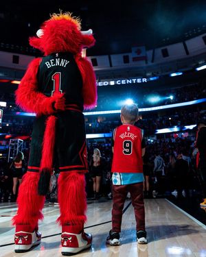 Image post by @bennythebull on Instagram