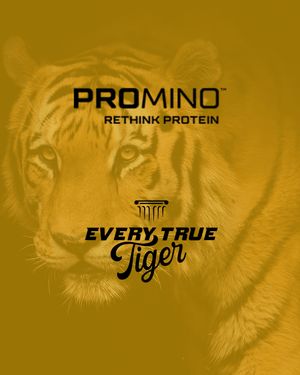 Image post by @everytruetiger on Instagram