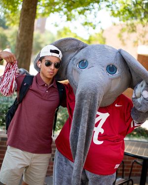 Image post by @ua_admissions on Instagram