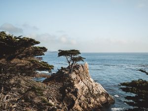Image post by @stevengr.am on Instagram