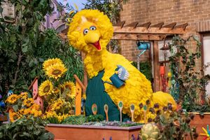 Image post by @sesamestreet on Instagram