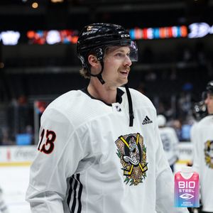 Image post by @anaheimducks on Instagram