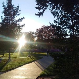 Image post by @kansasstateuniversity on Instagram