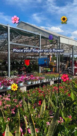 Video post by @lowes on Facebook