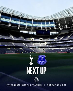 Image post by @everton on Instagram