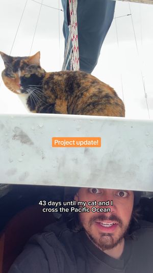 Video post by @sailing_with_phoenix on TikTok