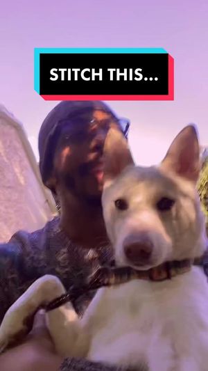 Video post by @seansvv on TikTok
