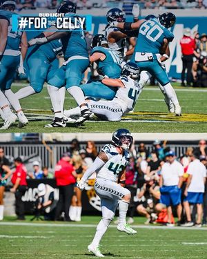 Image post by @seahawks on Instagram